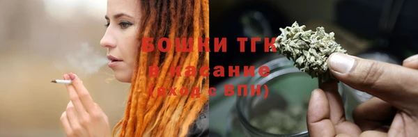 СК Алексин