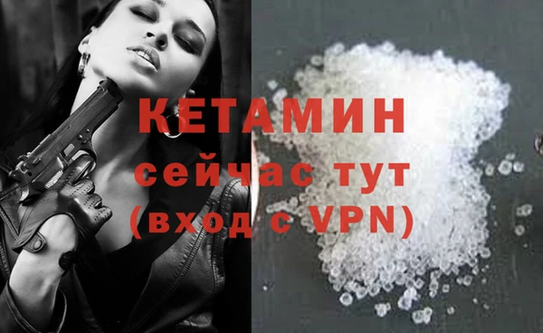 СК Алексин